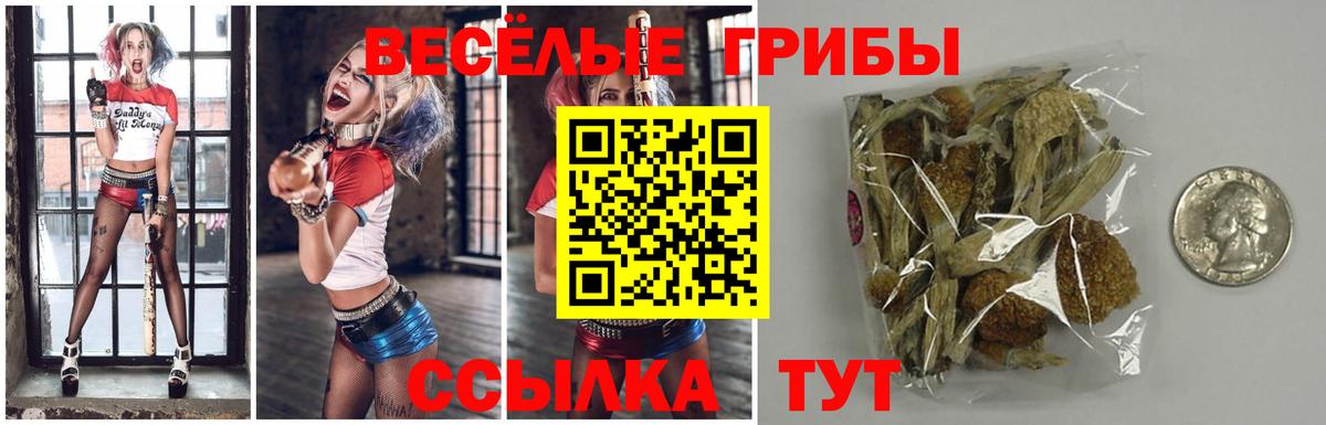 Псилоцибиновые грибы Magic Shrooms  Вход с VPN  Севастополь 